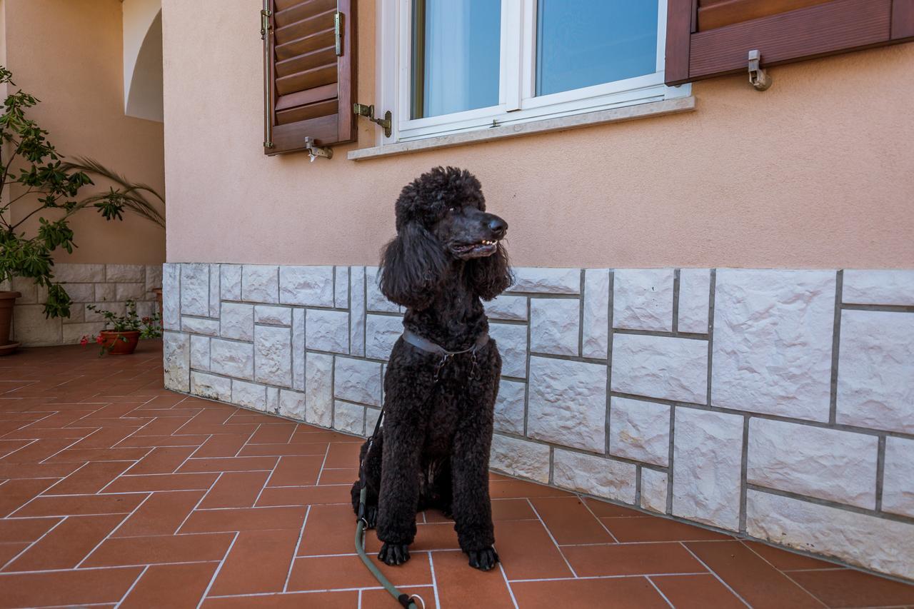 Rona Apartments Ani Ičići Zewnętrze zdjęcie